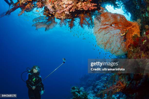 スキューバ ダイビングを探索し、珊瑚礁の海の生活スポーツ女性水中を楽しんで - gopro ストックフォトと画像