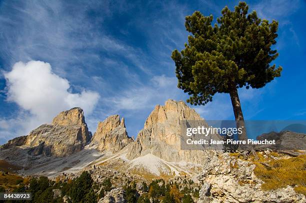 gruppo di sella, dolomites, italy - photos di gruppo stock pictures, royalty-free photos & images