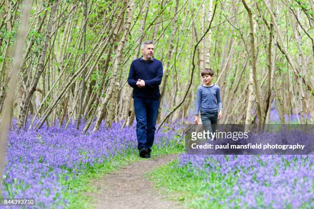 father and son in bluebell wood - bluebell woods imagens e fotografias de stock
