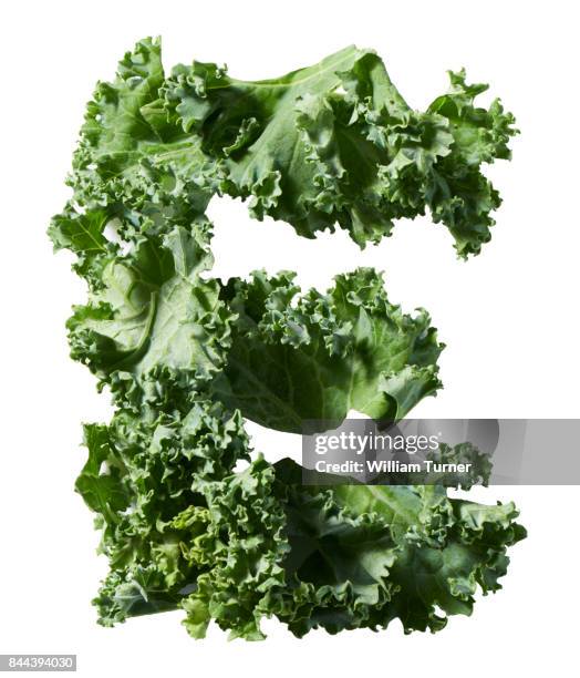 a cut out food image of kale - william turner london stock-fotos und bilder