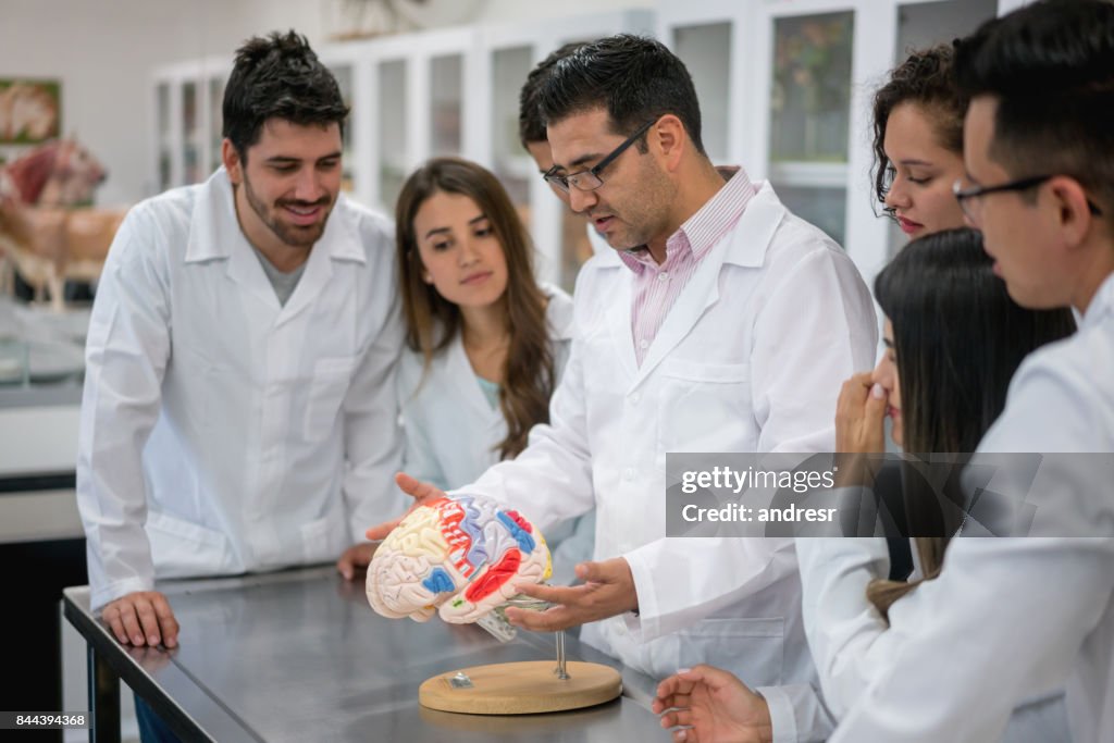 Group of medical students in an anatomy class