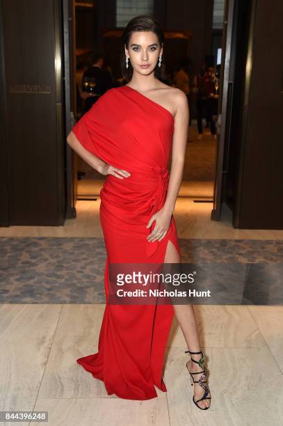 Blogger Amanda Steele attends the Daily Front Row's Fashion Media Awards at Four Seasons Hotel New York Downtown on September 8, 2017 in New York...