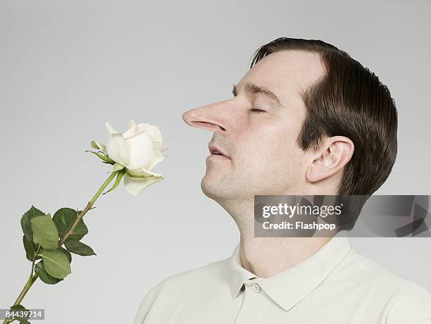 man with big nose smelling rose - human nose stockfoto's en -beelden