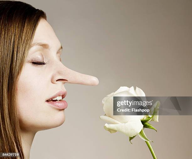 woman with big nose smelling flower - human body part stock pictures, royalty-free photos & images