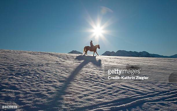 man horseback riding in winter mountain scenery - snow horses fotografías e imágenes de stock