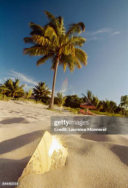 gold payment card half buried in tropical beach - mozambique beach stock pictures, royalty-free photos & images