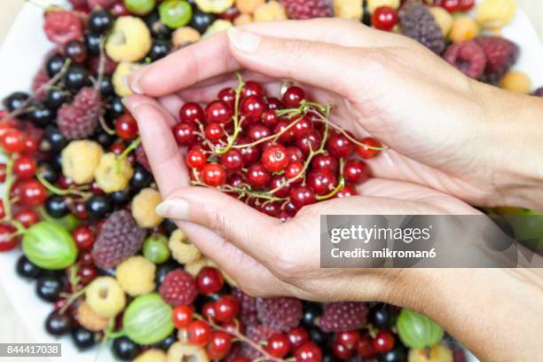 mix summer berries fruits in woman's hands. - frambuesa americana fotografías e imágenes de stock