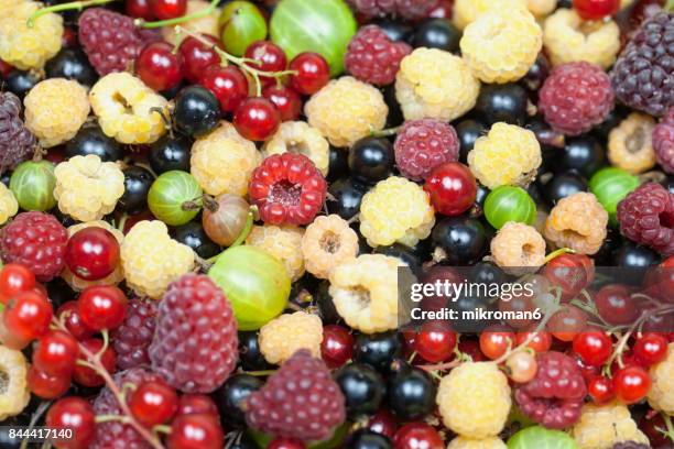 mixed summer berries fruits - frambuesa americana fotografías e imágenes de stock
