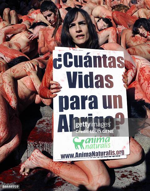 Nude activists from the animal rights group Anima Naturalis stage a demonstration on January 25, 2009 in Barcelona under the slogan skinless . Poster...