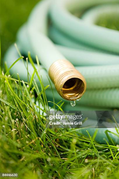 water dripping from garden hose - hose stockfoto's en -beelden