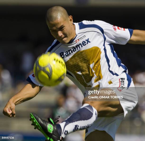 Dario Veron of Pumas controls the ball during their Clausura Tournament football match against Santos at the Pumas stadium in Mexico City on January...