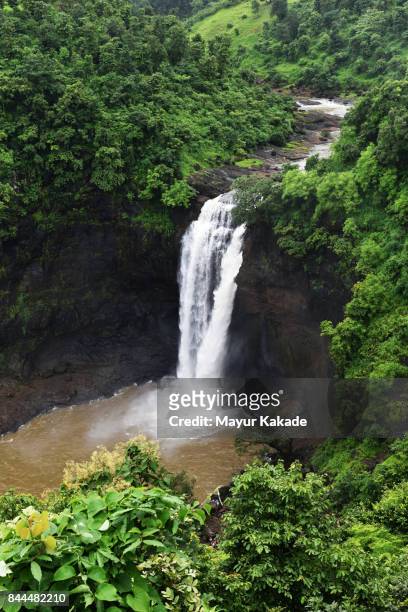 dabhosa waterfall - jawhar stock pictures, royalty-free photos & images