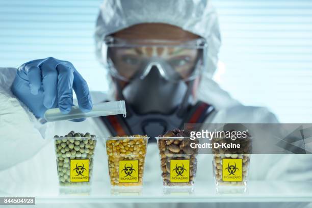 laboratory - genetic modification stock pictures, royalty-free photos & images