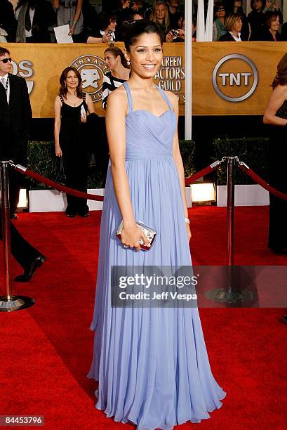 Actress Freida Pinto arrives at the 15th Annual Screen Actors Guild Awards held at the Shrine Auditorium on January 25, 2009 in Los Angeles,...