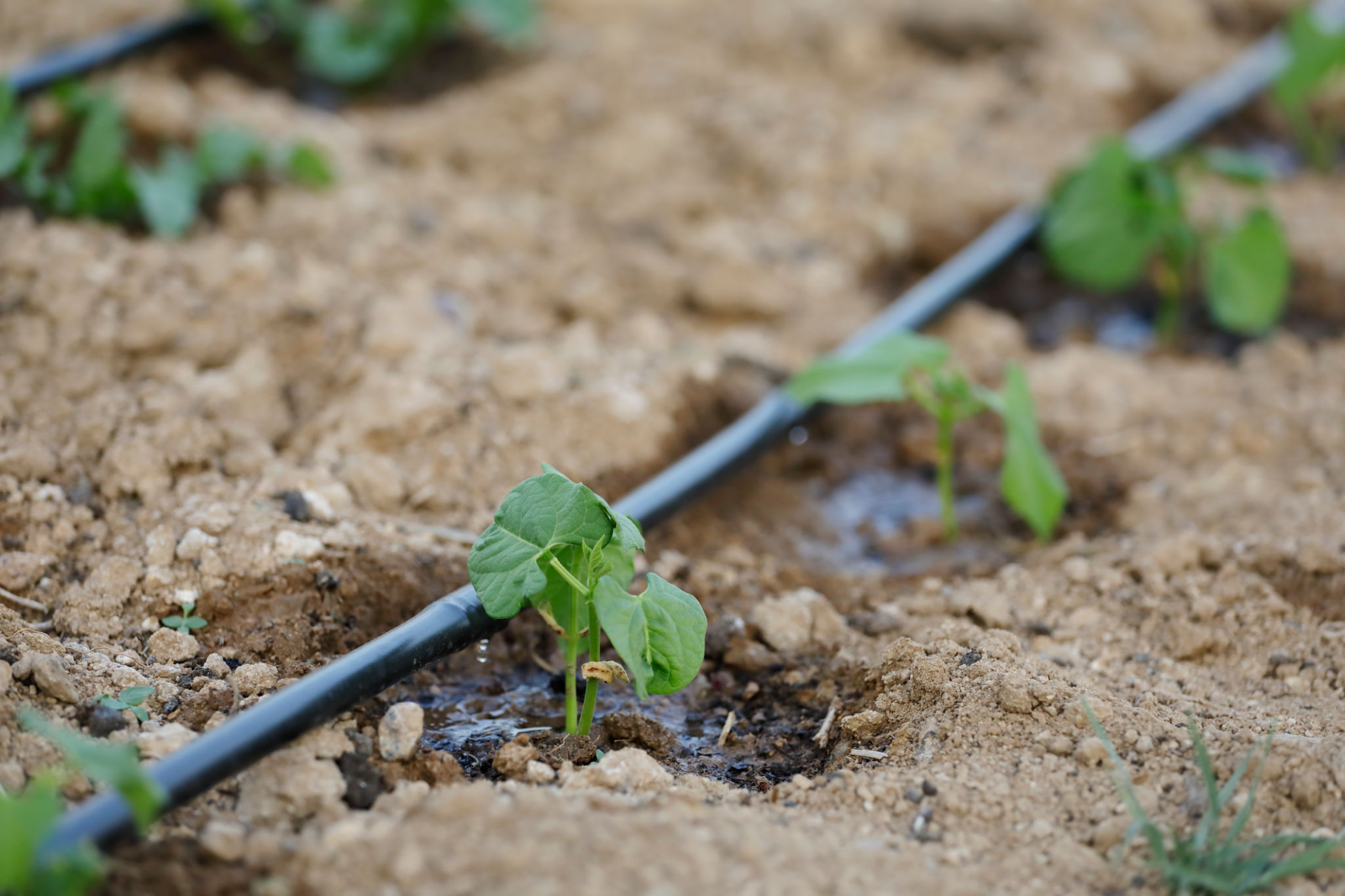 soil water management