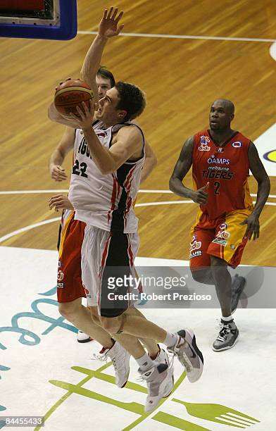 Matt Burston of the Dragons has a shot at the basket during the round 20 NBL match between the Melbourne Tigers and the South Dragons held at the...