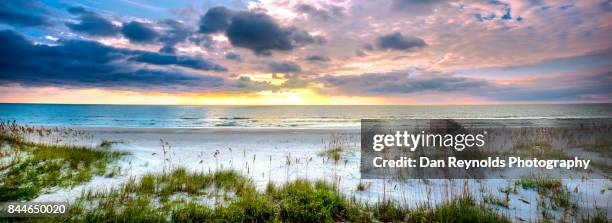 view of beach at sunrise - amelia island florida stockfoto's en -beelden