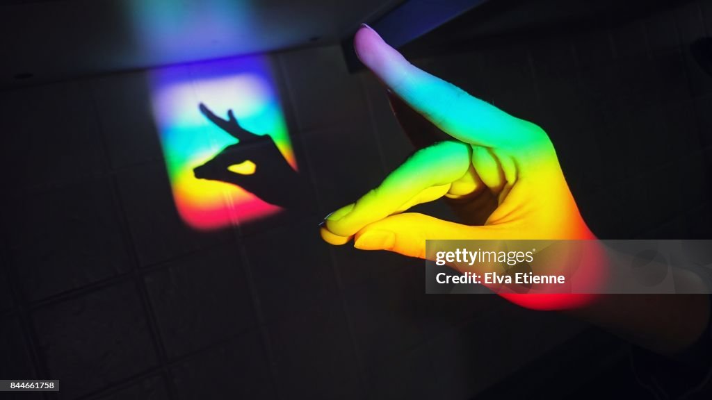 Hand shadow puppet with rainbow light