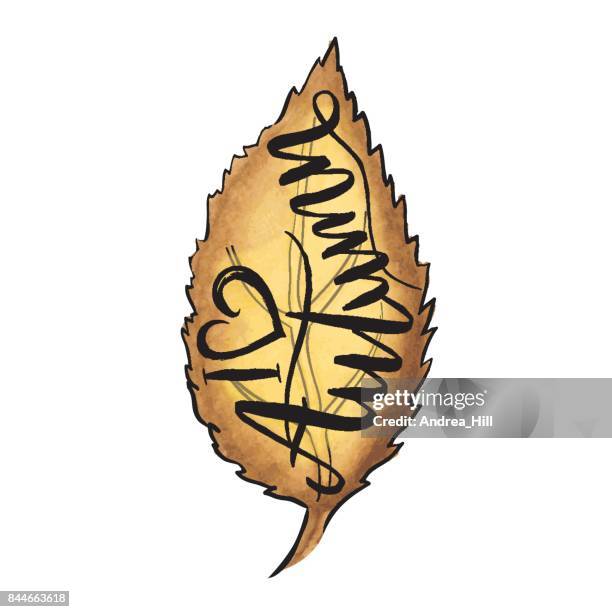 vector watercolor walnut leaf with "i heart autumn" calligraphic text - hello fall stock illustrations
