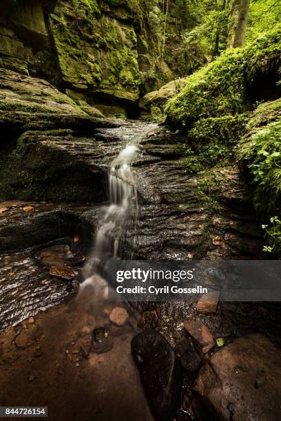 waterfall at monbach valley - monbach stock pictures, royalty-free photos & images