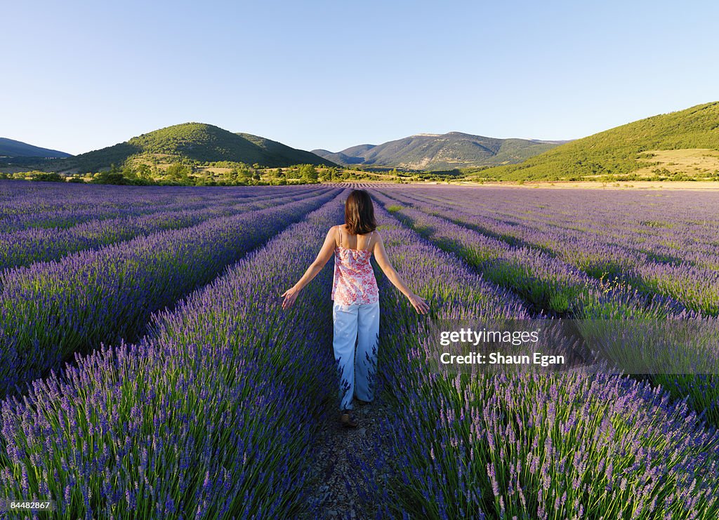 Woman walking with hands touching lavender