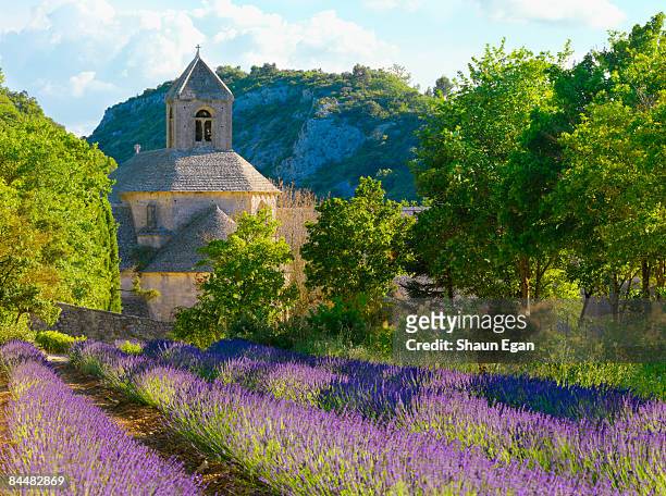 lavender in-front of abbey de senanque - provence fotografías e imágenes de stock