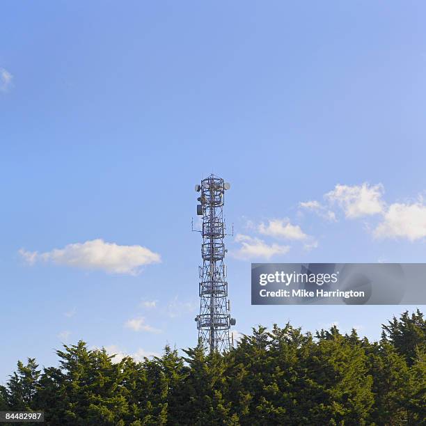 Tree Pylon 305 Cell Tower Tree Stock Photos, High-Res Pictures, and Images - Getty ...