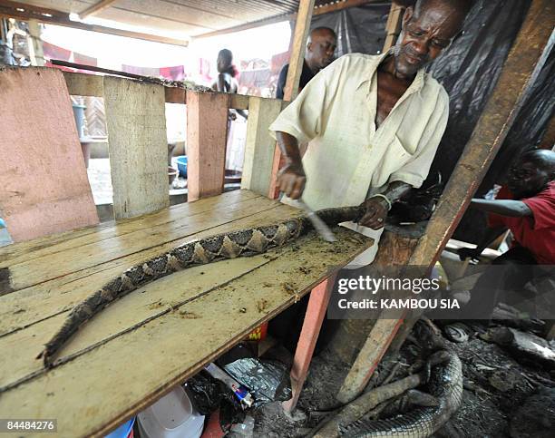 Man cleans a snake on January 25, 2009 in the Yopougon neighborhood of Abidjan, where a restaurant, "Restaurant du Zoo," serves African game. Patrons...