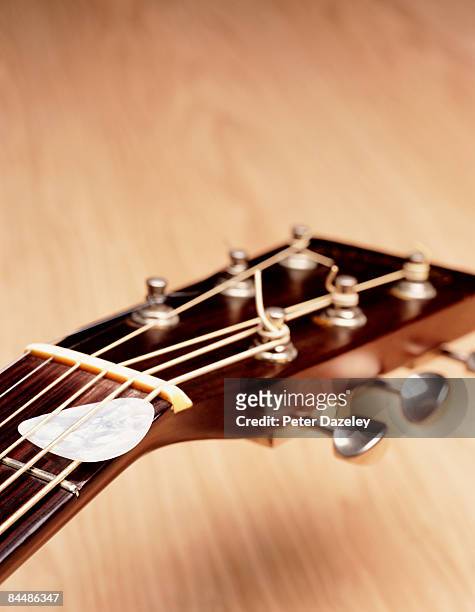 guitar head and plectrum, limited focus - gitarrplektrum bildbanksfoton och bilder