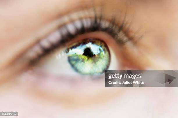 woman's eye - green eyes stock pictures, royalty-free photos & images