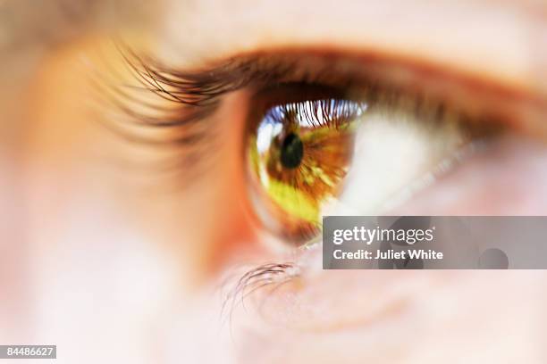 man's eye - human eye ストックフォトと画像