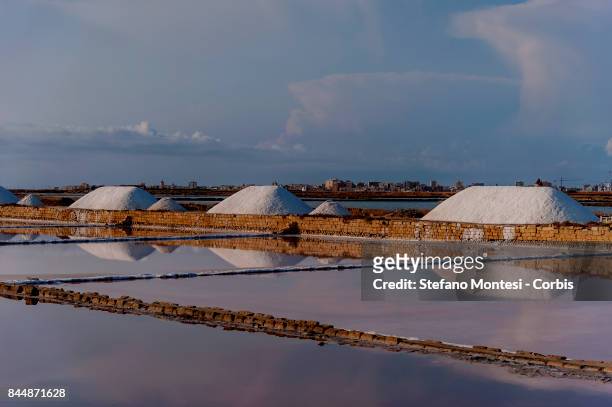 The salt harvested in the Chiusicella salt flats in the Saline di Trapani and Paceco Nature Reserve, along Salt Road on September 8, 2017 in Trapani,...