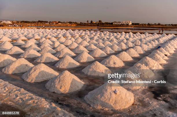 The salt harvested at sunset in the Salina Culcasi in the Saline di Trapani and Paceco Nature Reserve, along Salt Road on September 8, 2017 in...