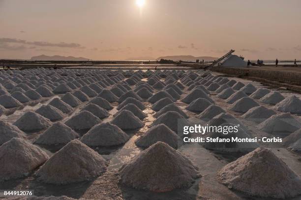 The salt harvested at sunset in the Culcasi salt flats, in the Saline di Trapani and Paceco Nature Reserve, along Salt Road on September 8, 2017 in...