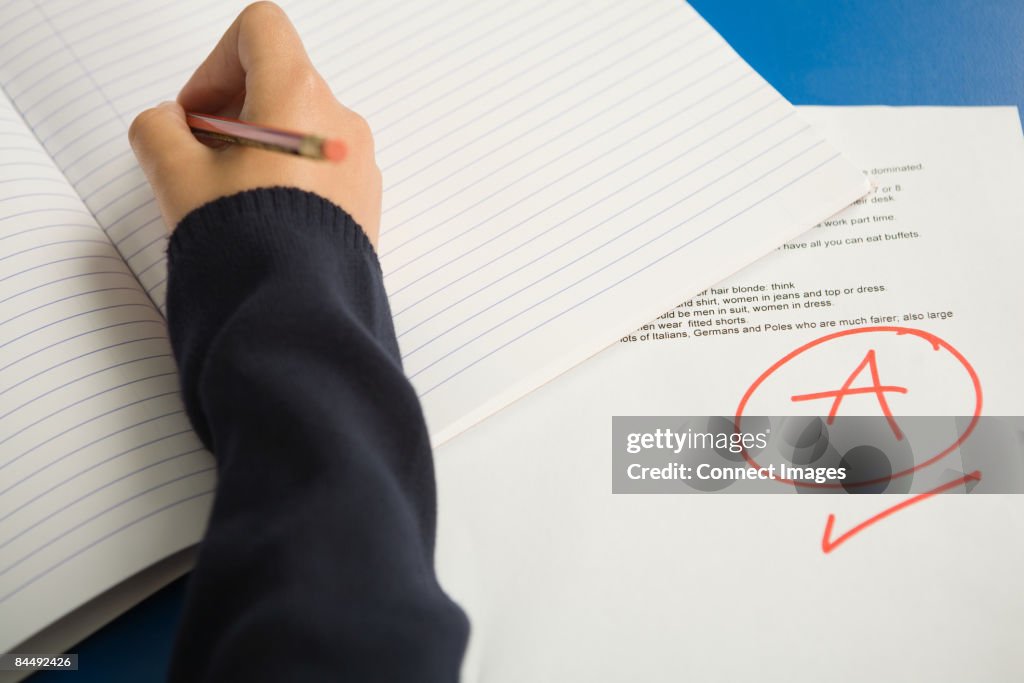 School student working