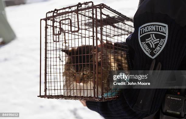 Animal Control officer Leslie Feeney carries out an abandoned pet during an eviction January 27, 2009 in Thornton, Colorado. Abandoned animals taken...