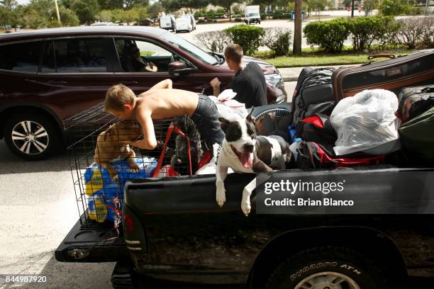 Having trouble finding a hotel room, members of the Watson family, of St. Petersburg, debates a passing motorist's offer to take in their dogs as...