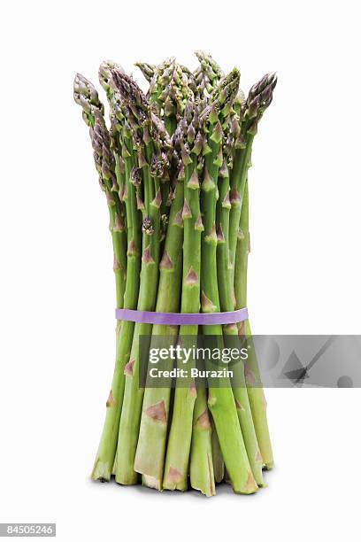 asparagus - vegetables isolated stock pictures, royalty-free photos & images