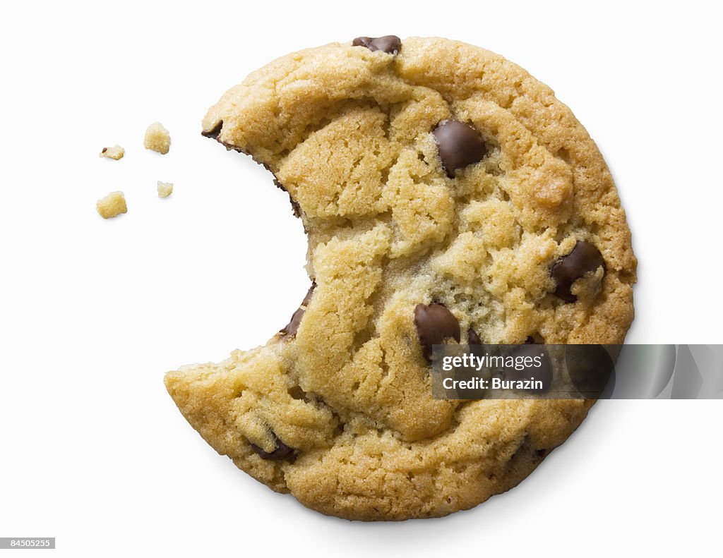 Single chocolate chip cookie