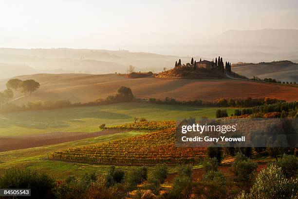 view across tuscan landscape. - tuscany fotografías e imágenes de stock