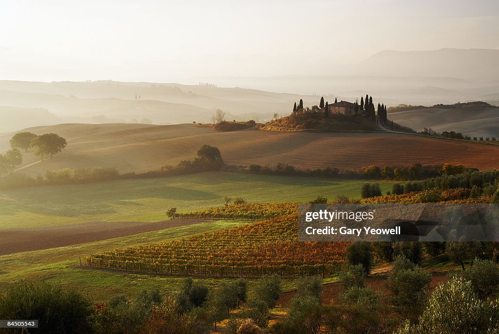 View across Tuscan landscape.