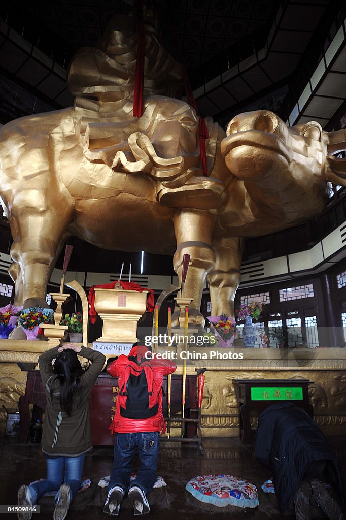 Chinese Celebrate The Year Of Ox