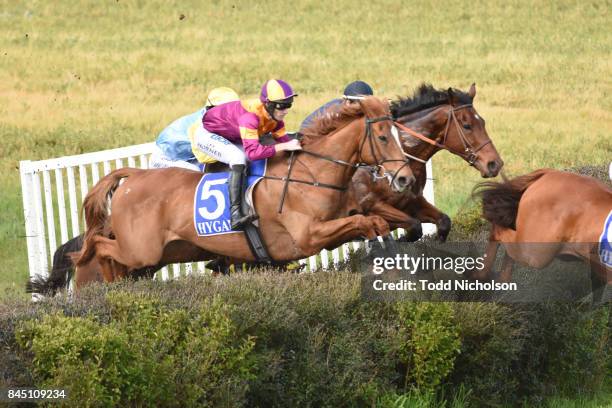 Surging Wave ridden by Clayton Douglas jumps during the Moredun Hill Open Steeplechase at Casterton Racecoure on September 10, 2017 in Casterton,...