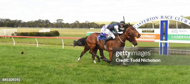 Surging Wave ridden by Clayton Douglas wins the Moredun Hill Open Steeplechase at Casterton Racecoure on September 10, 2017 in Casterton, Australia.