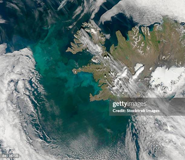 phytoplankton bloom in the north atlantic ocean. - phytoplankton stock pictures, royalty-free photos & images