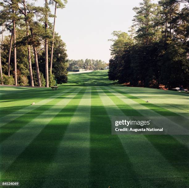 24,764 Golf Tee Box Stock Photos, High-Res Pictures, and Images - Getty ...