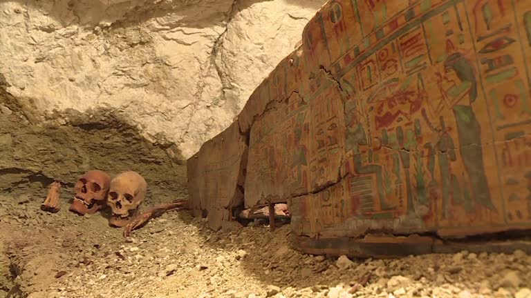 Mummy Crypt 16 Mummy Uncovered In Tomb Stock Videos, Footage, & 4K Video Clips ...
