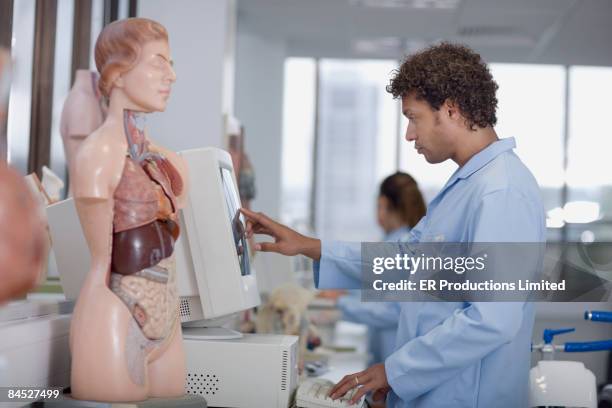 Cross Section Lab Model 60 Cross Section Of A Mixed Nerve Stock Photos, High-Res Pictures, and ...