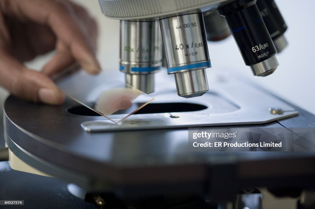 Close up of specimen on microscope