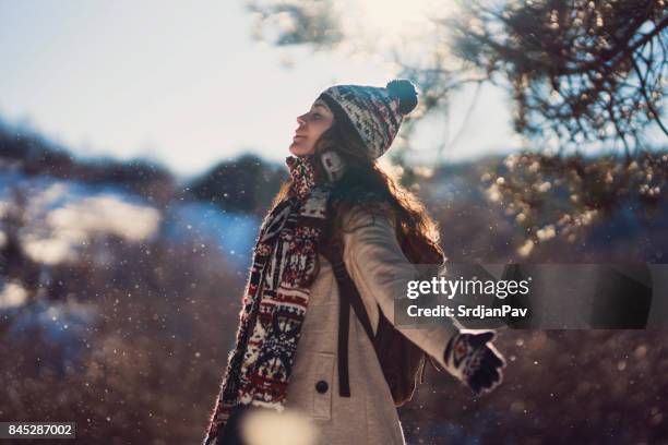 besneeuwde dag - festieve stemming stockfoto's en -beelden
